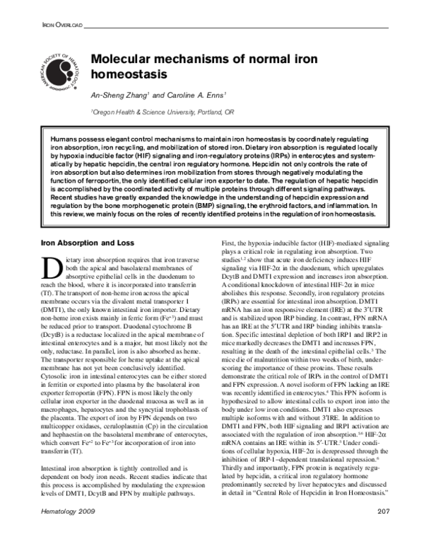 (PDF) Molecular mechanisms of normal iron homeostasis