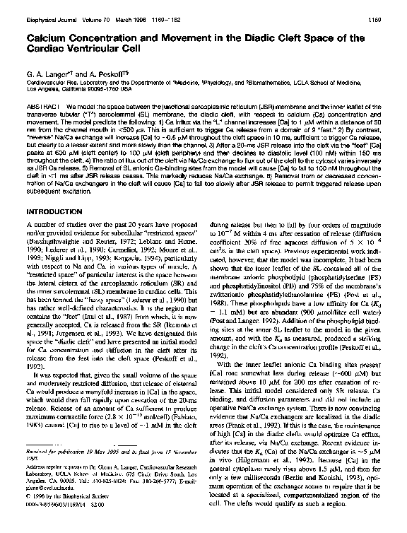 (PDF) Calcium concentration and movement in the diadic cleft space of ...