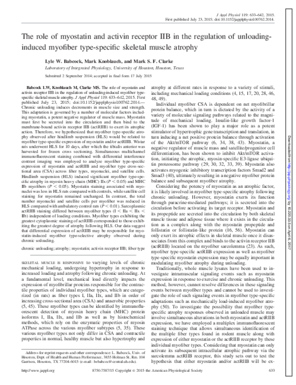 (PDF) The Role of Myostatin and Activin Receptor IIB in the Regulation ...