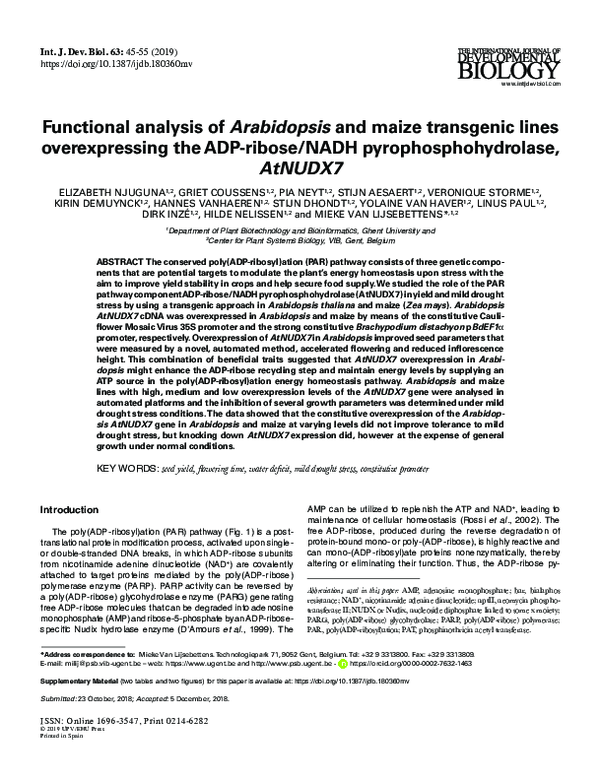 (PDF) Functional analysis of Arabidopsis and maize transgenic lines ...