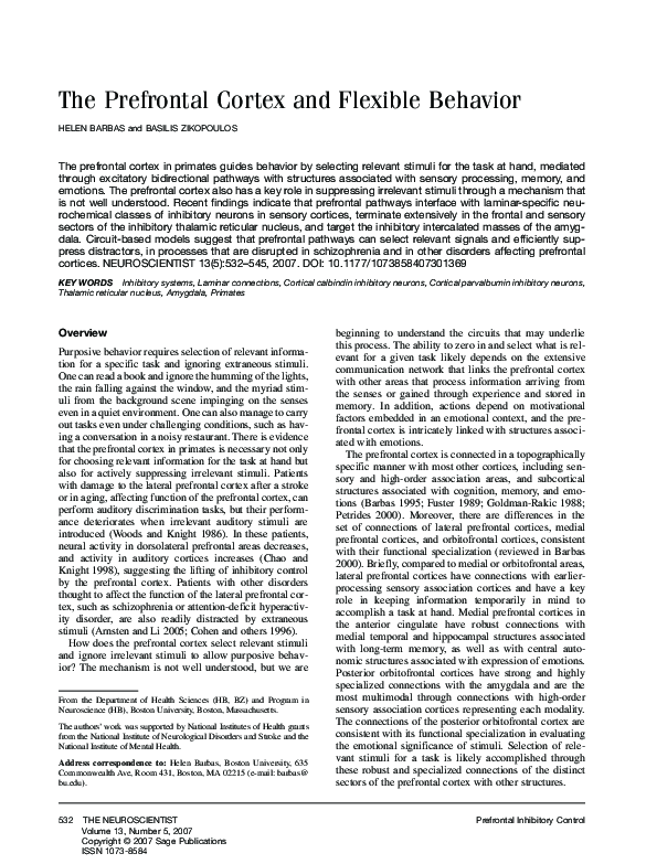 (PDF) The Prefrontal Cortex and Flexible Behavior