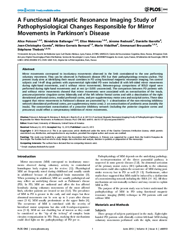 (PDF) A Functional Magnetic Resonance Imaging Study of Spatial Working ...