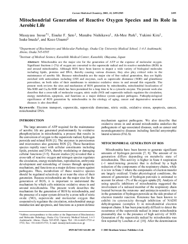 (PDF) Mitochondrial Generation of Reactive Oxygen Species and its Role ...