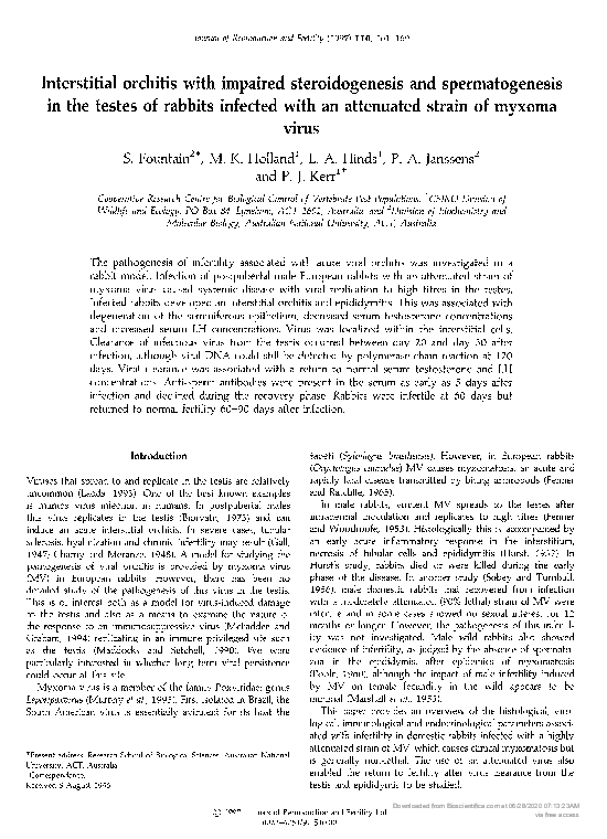 (PDF) Interstitial orchitis with impaired steroidogenesis and ...