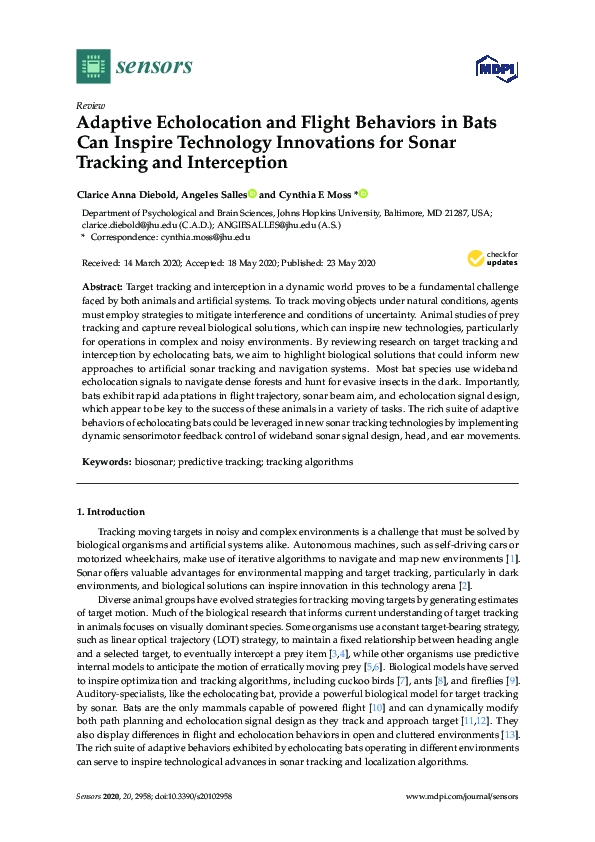 (PDF) Adaptive Echolocation and Flight Behaviors in Bats Can Inspire ...