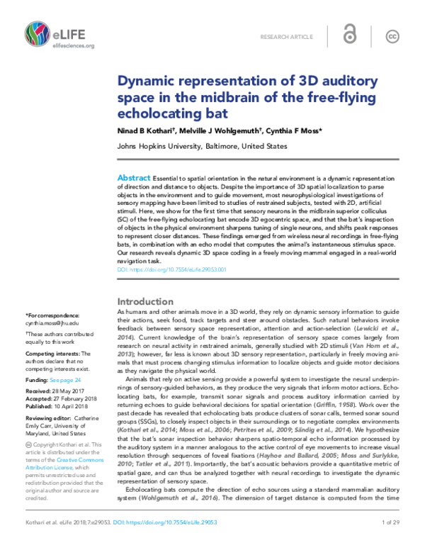 (PDF) Dynamic representation of 3D auditory space in the midbrain of ...