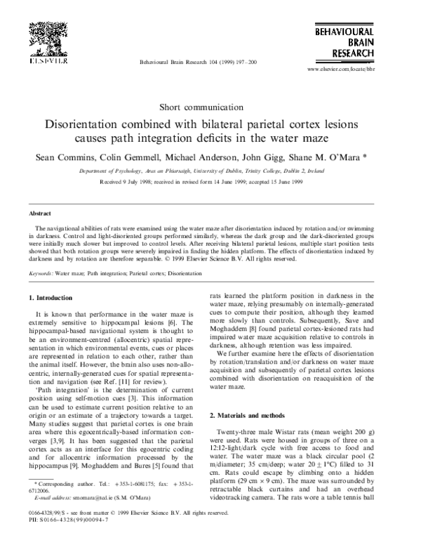 (PDF) Disorientation combined with bilateral parietal cortex lesions ...