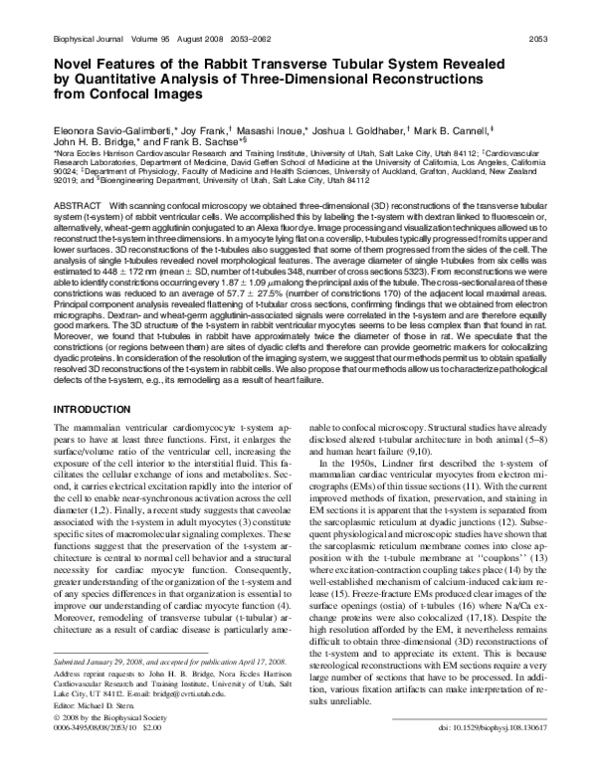 (PDF) Novel Features of the Rabbit Transverse Tubular System Revealed ...