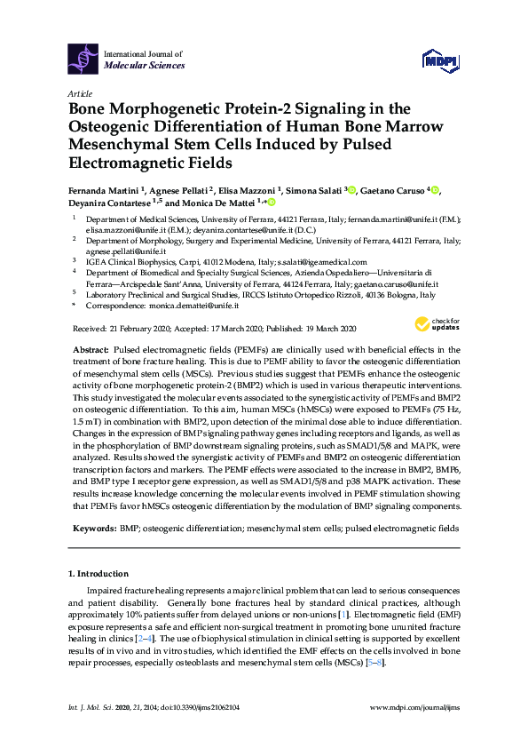(PDF) Bone Morphogenetic Protein-2 Signaling in the Osteogenic ...