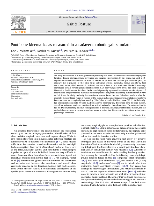 (PDF) Foot bone kinematics as measured in a cadaveric robotic gait ...
