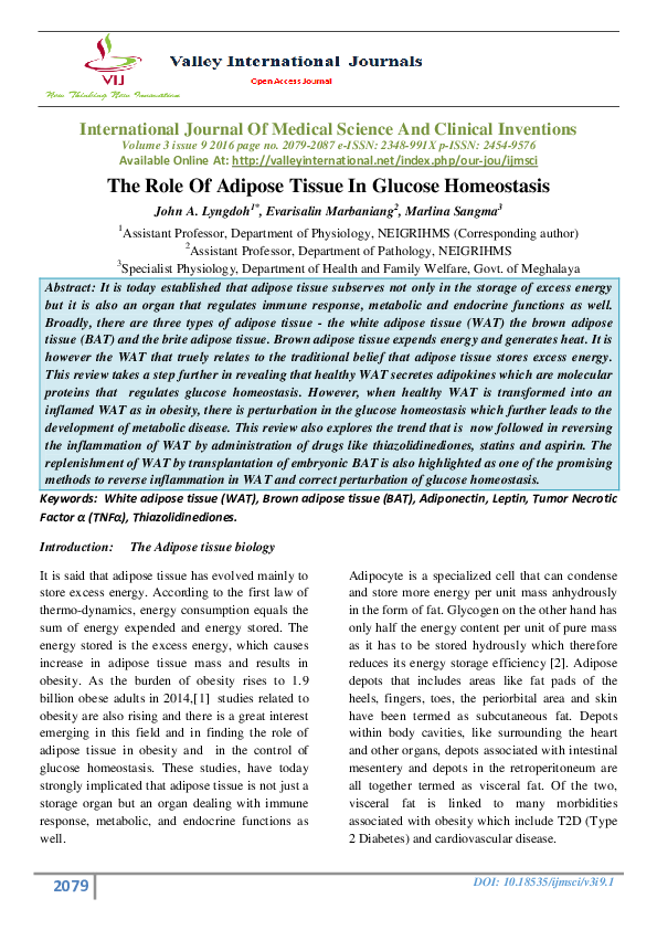 (PDF) The Role Of Adipose Tissue In Glucose Homeostasis