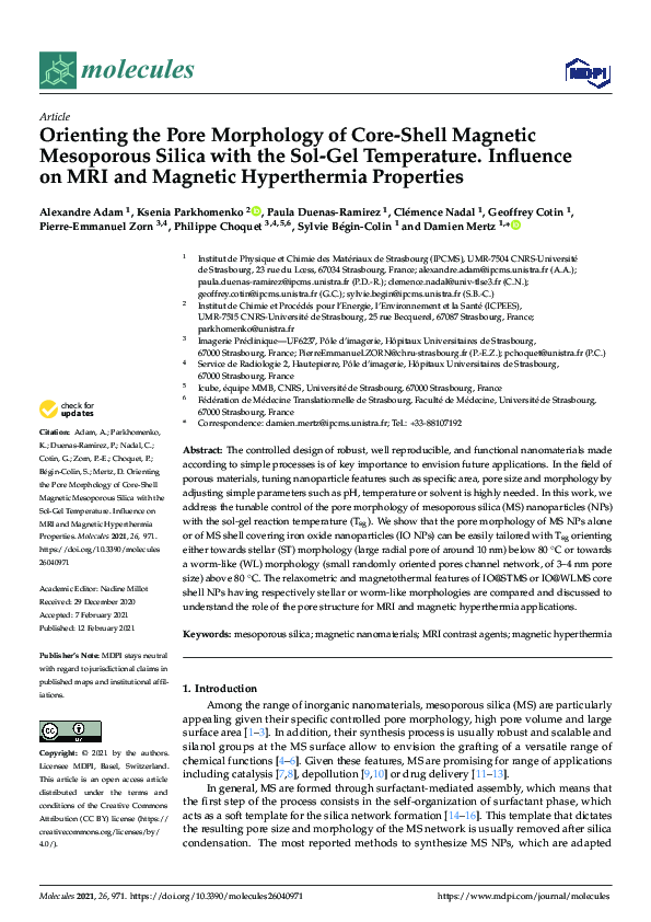 (PDF) Orienting the Pore Morphology of Core-Shell Magnetic Mesoporous ...