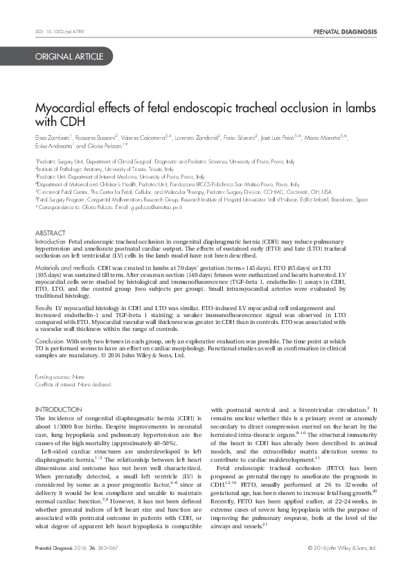 (PDF) Myocardial effects of fetal endoscopic tracheal occlusion in ...