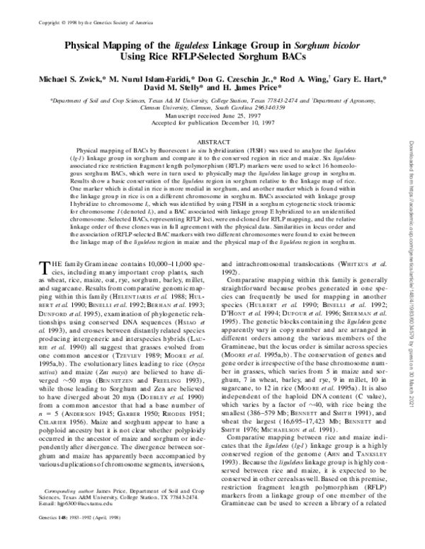 (PDF) Physical mapping of the liguleless linkage group in Sorghum ...