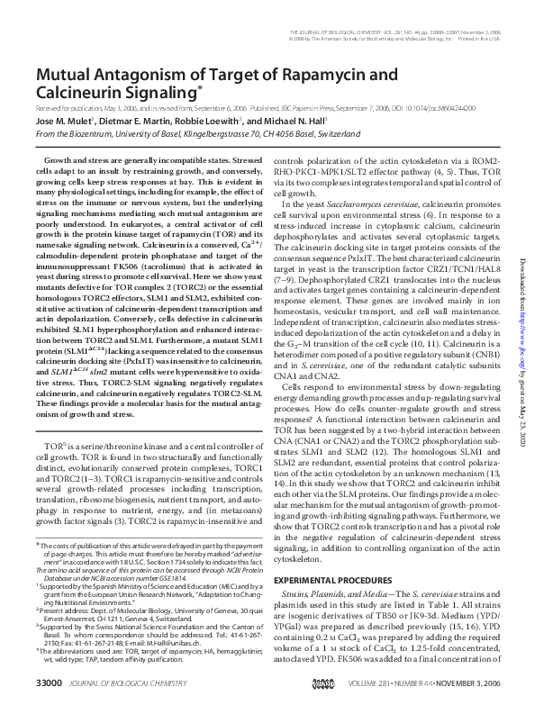 (PDF) Mutual Antagonism of Target of Rapamycin and Calcineurin Signaling