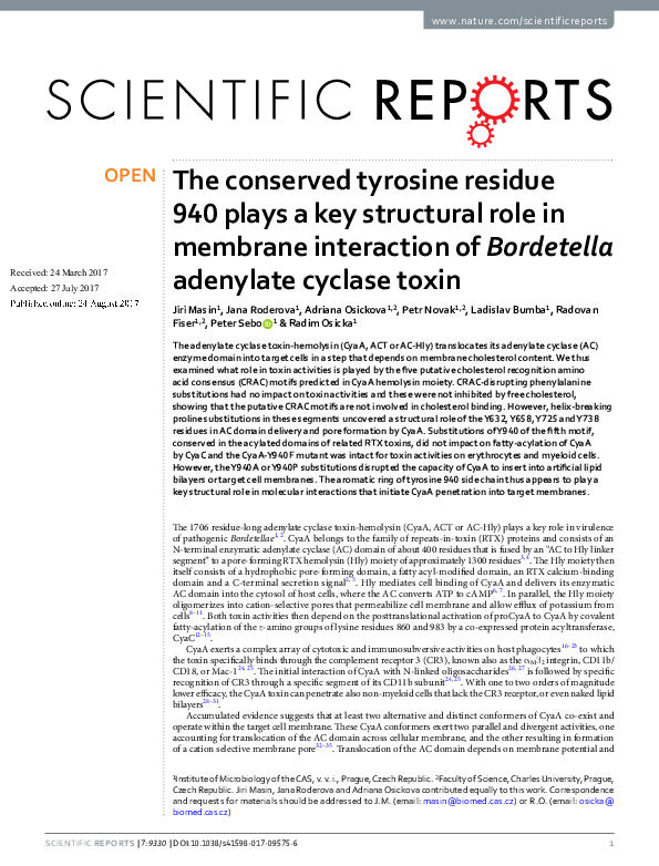 (PDF) The conserved tyrosine residue 940 plays a key structural role in ...