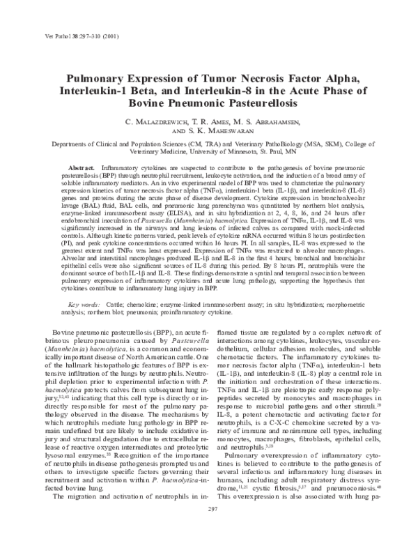 (PDF) Pulmonary Expression of Tumor Necrosis Factor Alpha, Interleukin ...