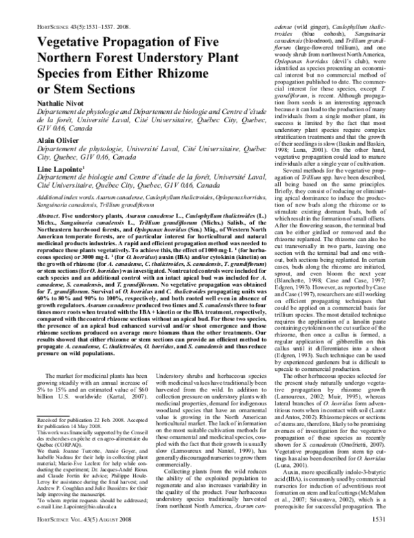 Vegetative propagation definition wikipedia image