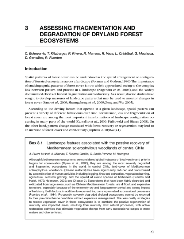 (PDF) Assessing fragmentation and degradation of dryland forest ecosystems