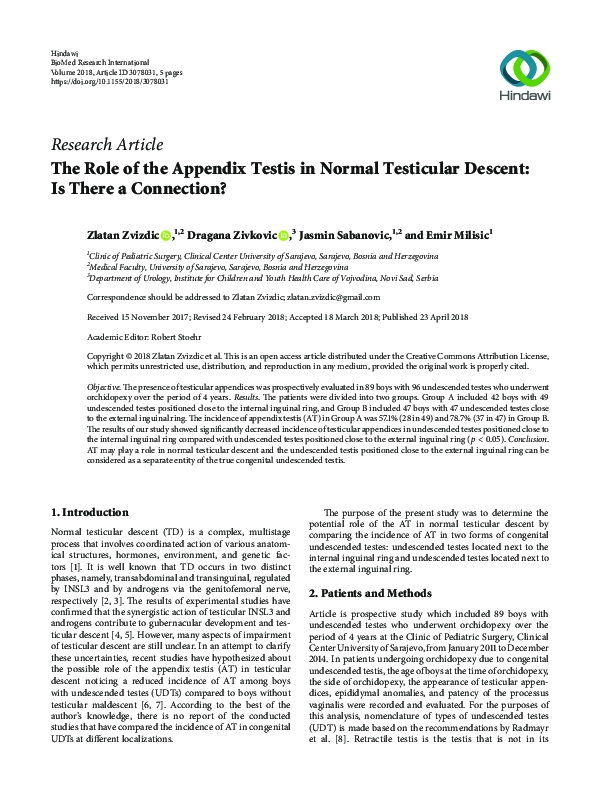 (PDF) The Role of the Appendix Testis in Normal Testicular Descent: Is ...