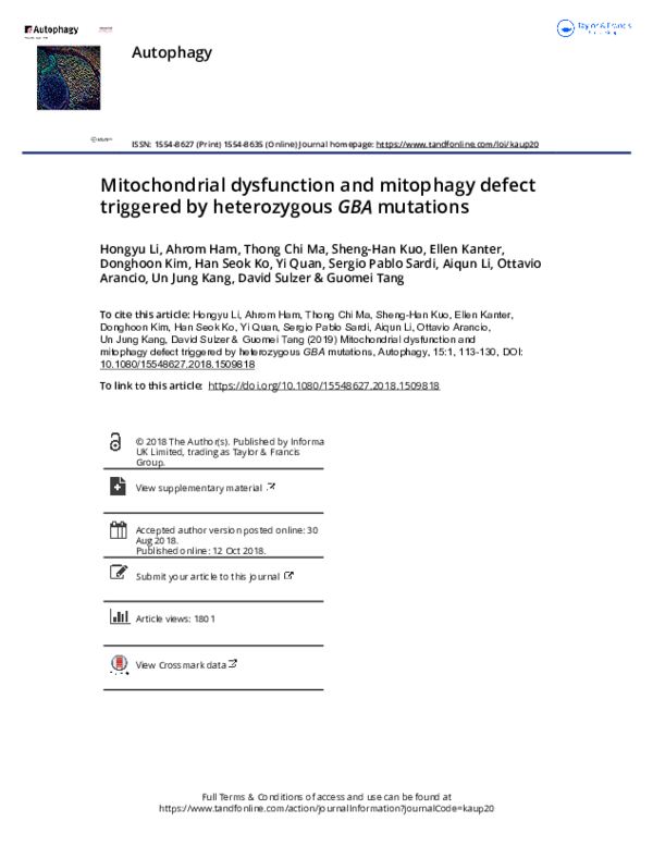 (PDF) Mitochondrial Dysfunction and Mitophagy Defect Triggered by ...