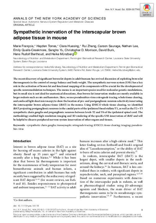 (PDF) Sympathetic innervation of the interscapular brown adipose tissue ...