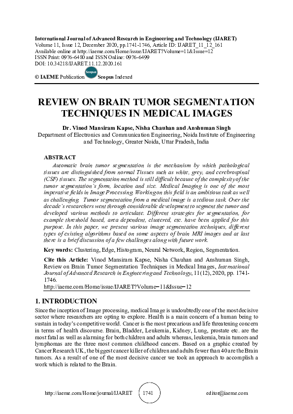 (PDF) REVIEW ON BRAIN TUMOR SEGMENTATION TECHNIQUES IN MEDICAL IMAGES