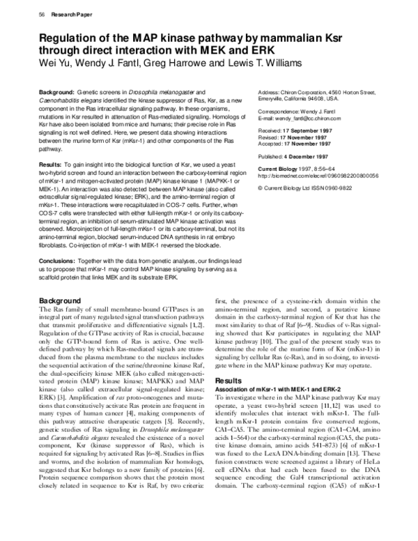 (PDF) Regulation of the MAP kinase pathway by mammalian Ksr through ...