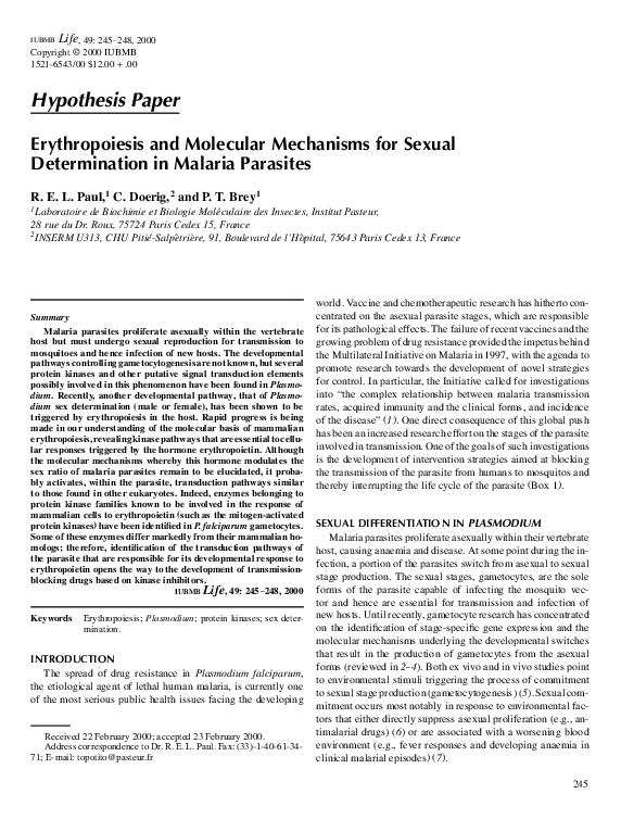 (PDF) Erythropoiesis and Molecular Mechanisms for Sexual Determination