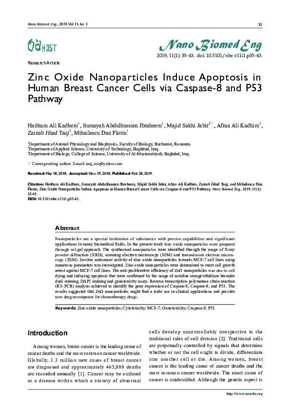 (PDF) Zinc Oxide Nanoparticles Induces Apoptosis in Human Breast Cancer ...