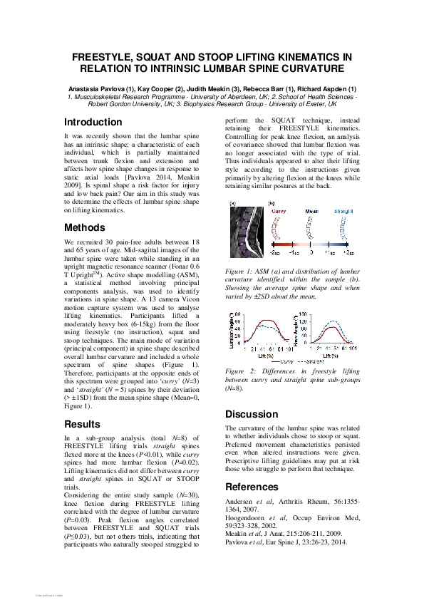 (PDF) Freestyle, squat and stoop lifting kinematics in relation to
