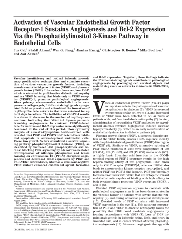 (PDF) Activation of Vascular Endothelial Growth Factor Receptor-1 ...