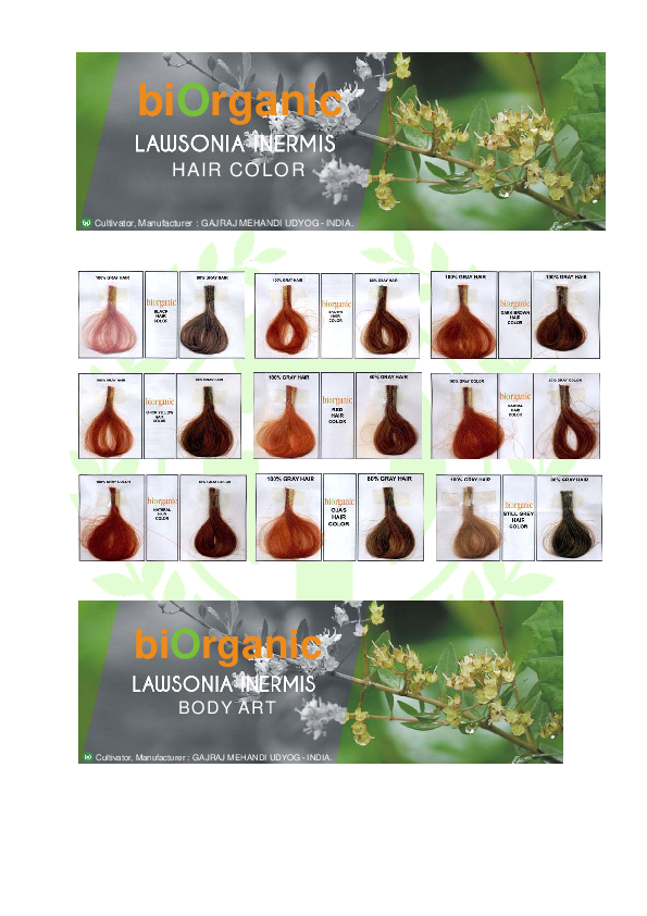 (PDF) hair color Marketing Gajraj Group Academia.edu