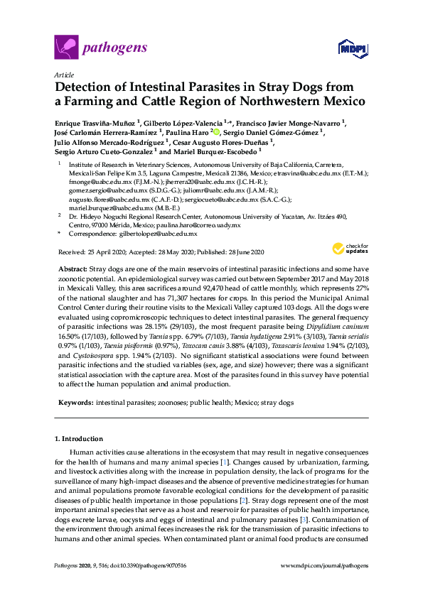 (PDF) Detection of Intestinal Parasites in Stray Dogs from a Farming ...