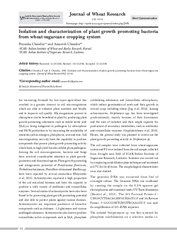 (PDF) Isolation and characterization of plant growth promoting bacteria ...