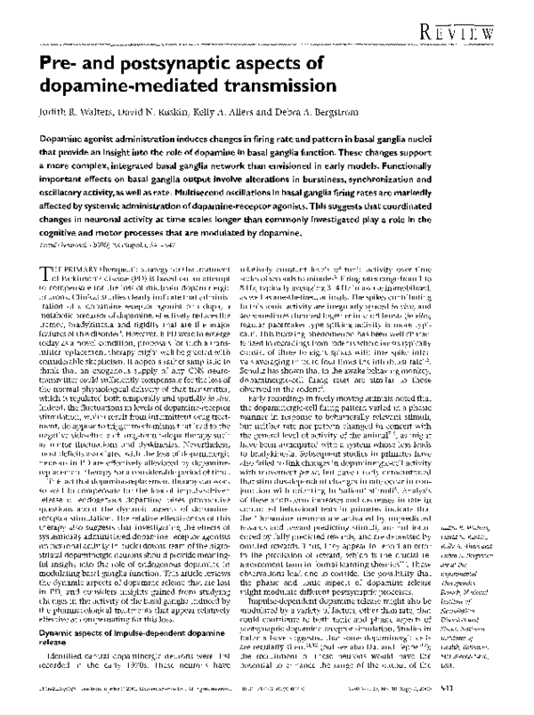 (PDF) Pre- and postsynaptic aspects of dopamine-mediated transmission