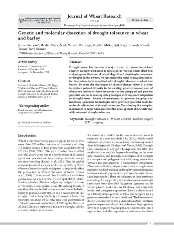 (PDF) Genetic and molecular dissection of drought tolerance in wheat ...