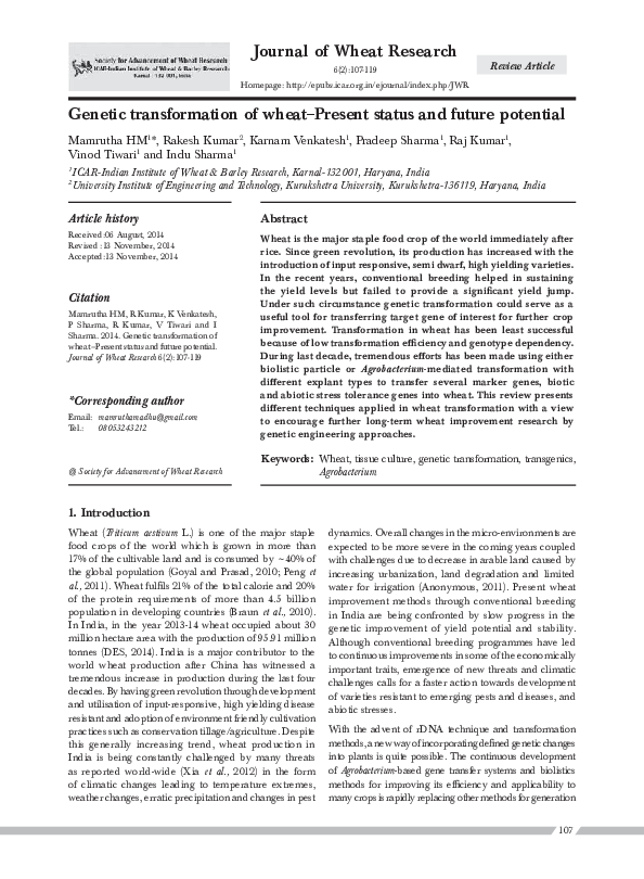 (PDF) Genetic transformation of wheat-Present status and future potential