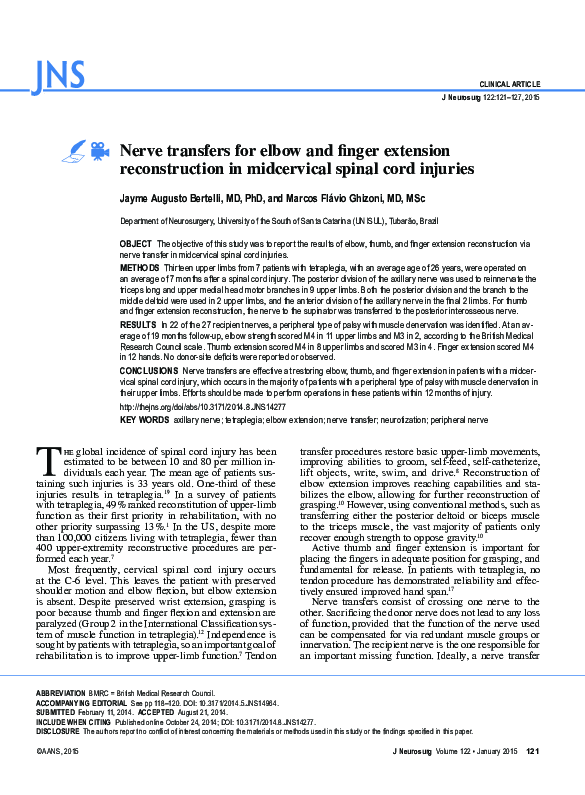 (PDF) Nerve transfers for elbow and finger extension reconstruction in ...