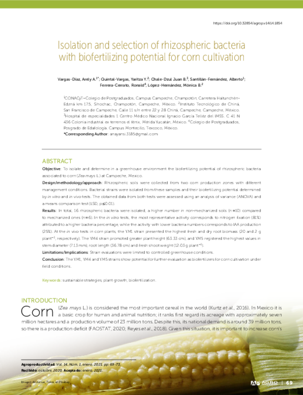 (PDF) Isolation and selection of rhizospheric bacteria with ...