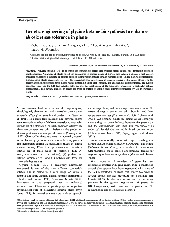 Betaine supplement picture