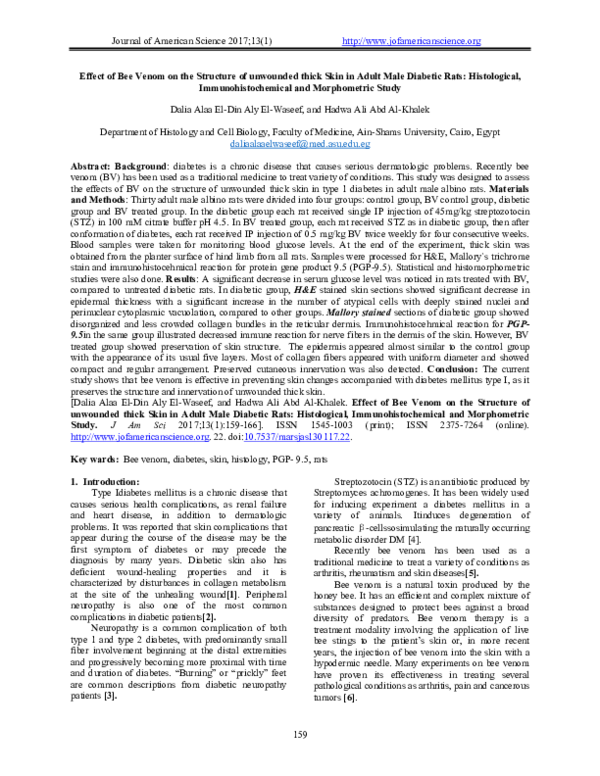 Bee venom essays picture