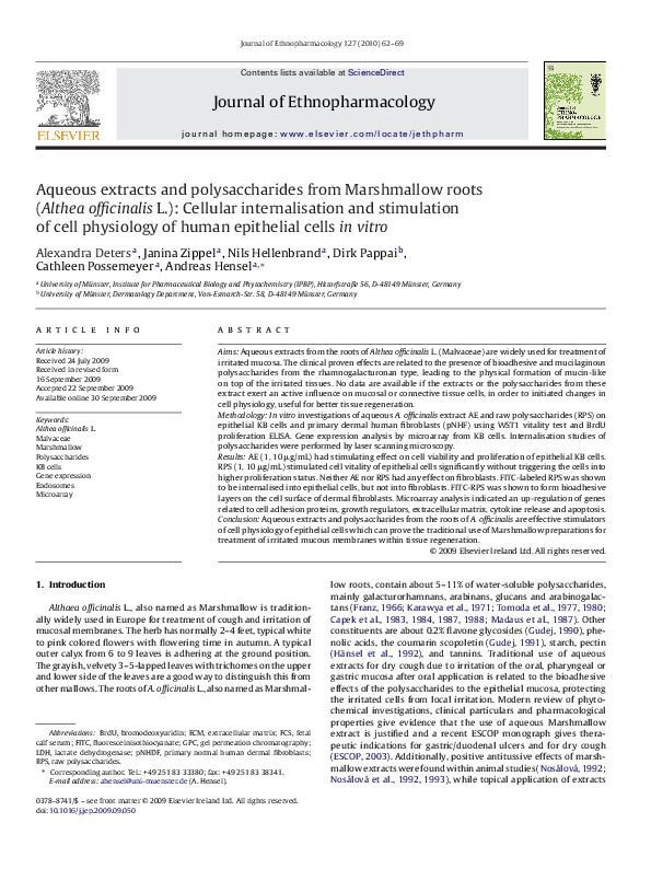 lily PDF) Aqueous extracts and polysaccharides from Marshmallow