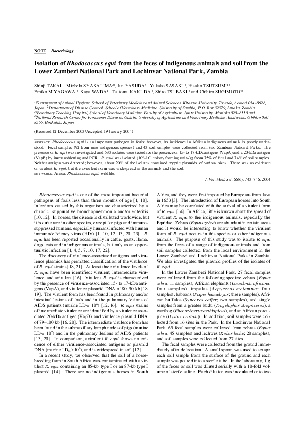 (PDF) Isolation of Rhodococcus equi from the feces of indigenous ...