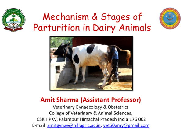 (PDF) Mechanism & Stages of Parturition in Dairy Animals