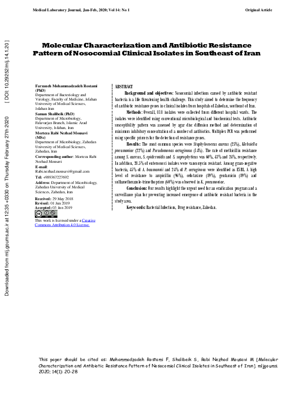 (PDF) Molecular Characterization and Antibiotic Resistance Pattern of ...