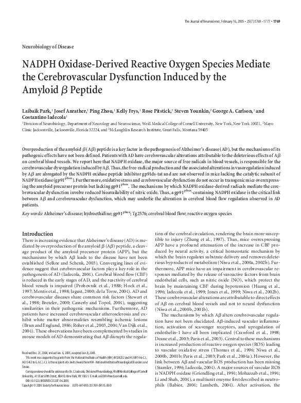 (PDF) NADPH oxidase-derived reactive oxygen species mediate the ...