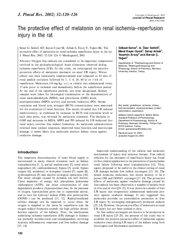 (PDF) The protective effect of melatonin on renal ischemia-reperfusion ...
