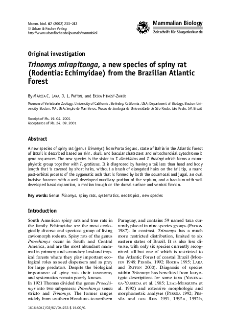 (PDF) Trinomys mirapitanga, a new species of spiny rat (Rodentia