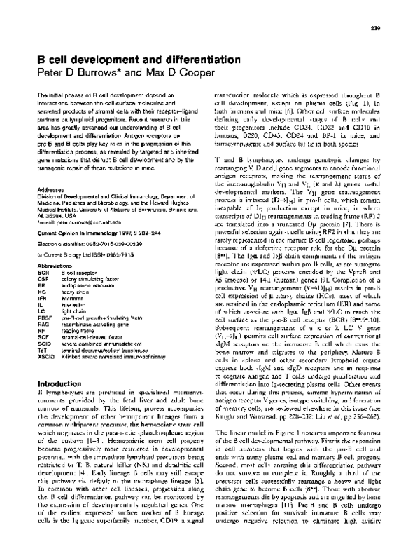 (PDF) B cell development and differentiation